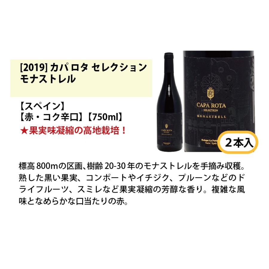 ワイン ワインセットワイン誌高評価蔵や金賞蔵ワインも入った辛口白１２本セット 送料無料 6種類各2本 飲み比べセット ギフト W0zs61se 98 Off
