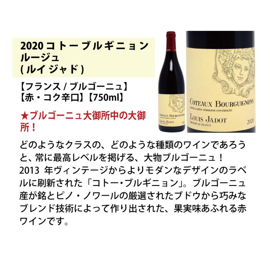 アウトレット送料無料 ワイン ワインセット ブルゴーニュ有名蔵 すべて激ウマ赤５本セット 送料無料 飲み比べセット ギフト W0b559se 9 480円 Whitesforracialequity Org