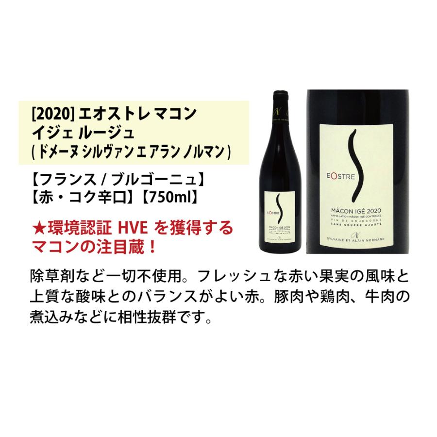 ワイン ワインセット ブルゴーニュ有名蔵 すべて激ウマ赤５本セット 送料無料 飲み比べセット ギフト 大人気 ^W0B567SE^｜veritas｜04