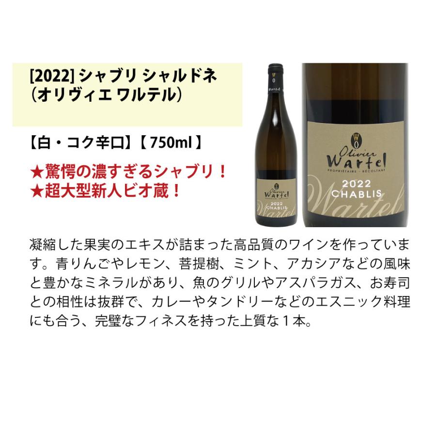 ワイン ワインセット 地元シャブリ１０１蔵激突 超特選ベスト白６本セット 送料無料 飲み比べセット ギフト 大人気 ^W0C667SE^｜veritas｜04