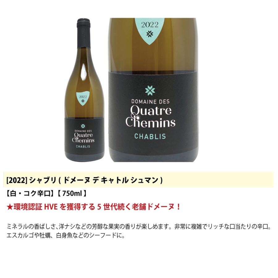 ワイン ワインセット 地元シャブリ１０１蔵激突 超特選ベスト白４本セット 送料無料 飲み比べセット ギフト 大人気 ^W0CBH0SE^｜veritas｜04