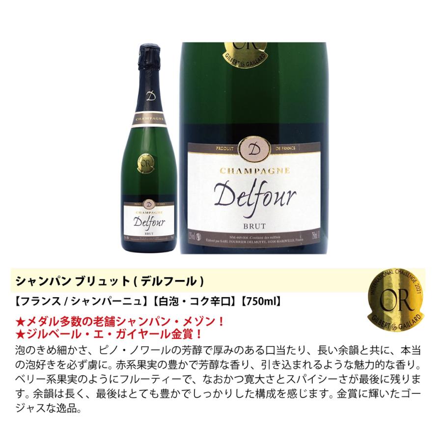 ワイン ワインセット 衝撃コスパ 全て豪華シャンパン（フランス
