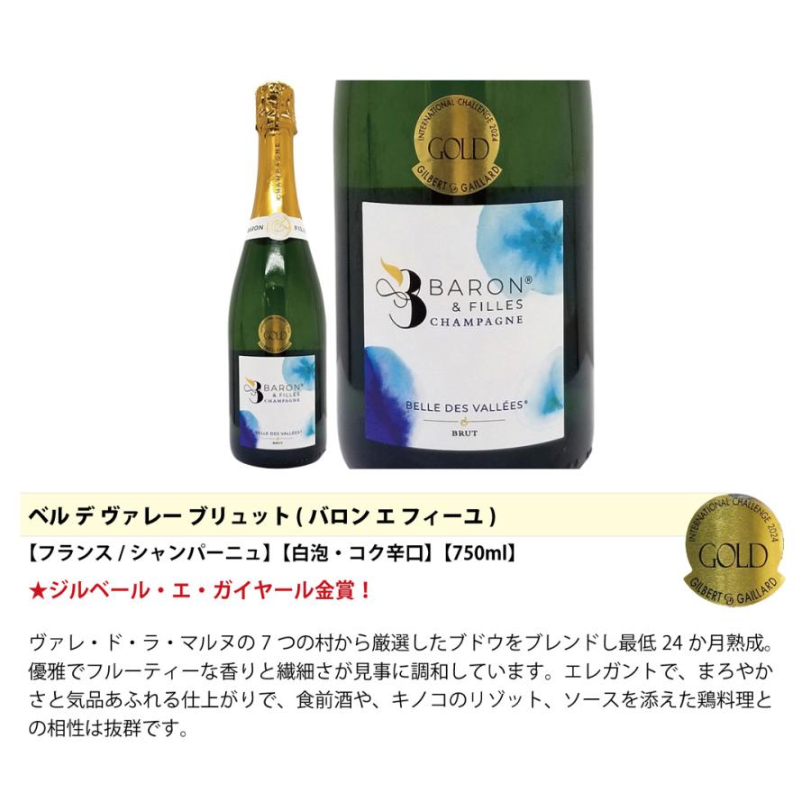 ワイン ワインセット 衝撃コスパ 全て豪華シャンパン（フランス