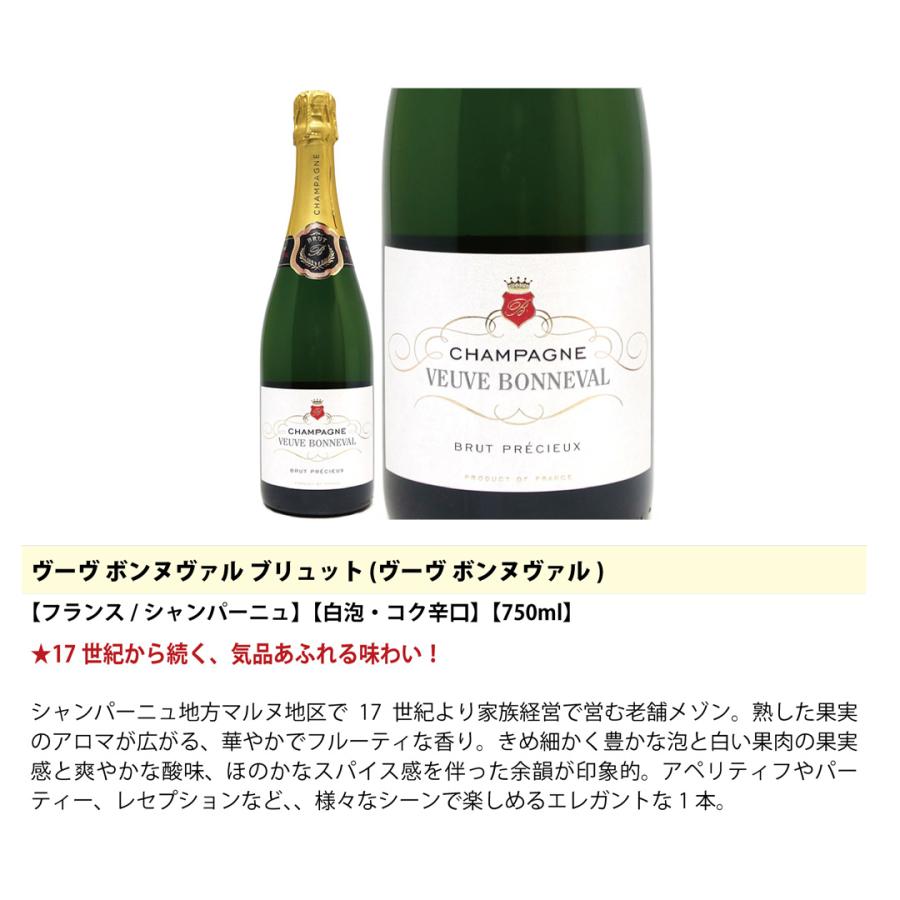 ワイン ワインセット 衝撃コスパ 全て豪華シャンパン（フランス