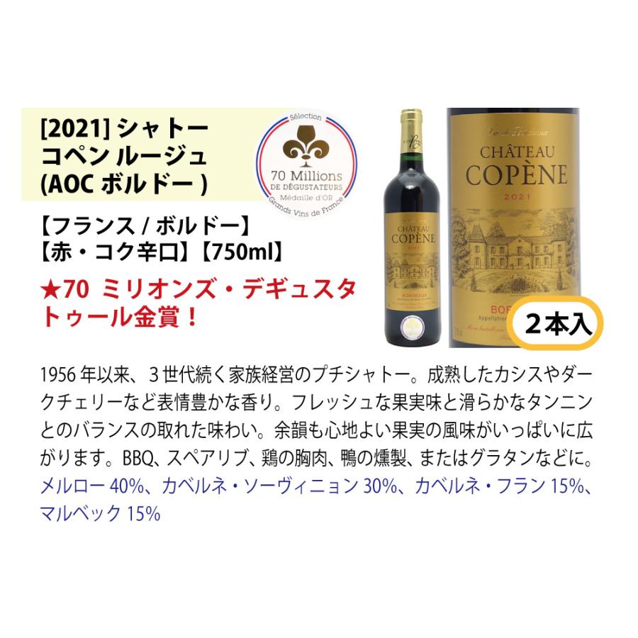 ワイン ワインセット すべて金賞フランス名産地ボルドー激旨赤１２本セット (6種類各2本) 大人気 ^W0DI71SE^｜veritas｜07