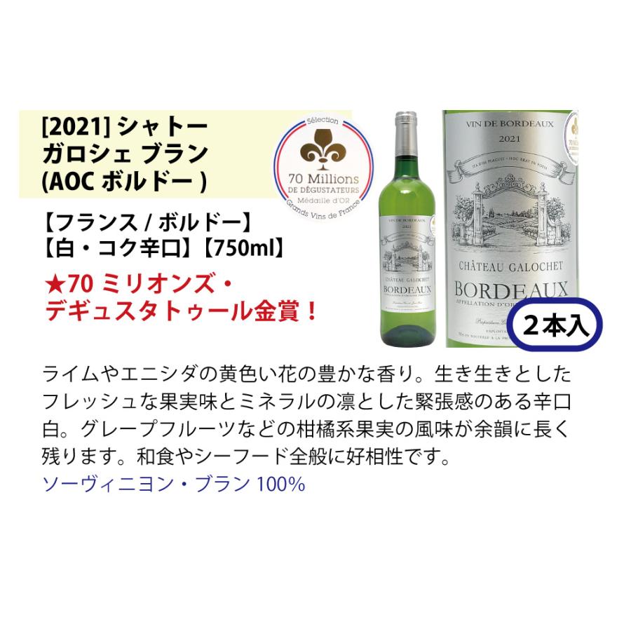 ワイン ワインセット すべて金賞 フランス名産地ボルドー辛口白激旨１２本セット (6種各2本) 大人気 ^W0DK45SE^｜veritas｜05