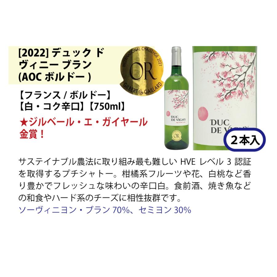 ワイン ワインセット すべて金賞 フランス名産地ボルドー辛口白激旨１２本セット (6種各2本) 大人気 ^W0DK45SE^｜veritas｜06