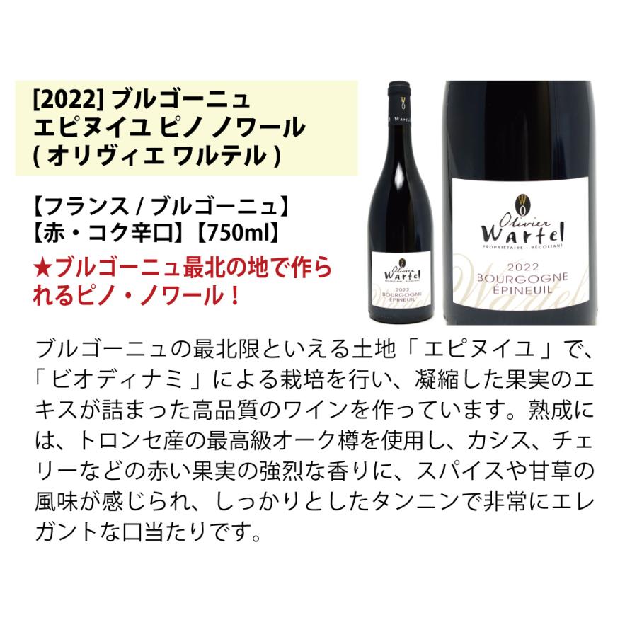 ワイン ワインセット はずれなし 極上ボルドー＋職人蔵ブルゴーニュ赤