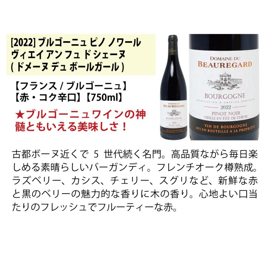 ワイン ワインセット はずれなし 極上ボルドー＋職人蔵ブルゴーニュ赤