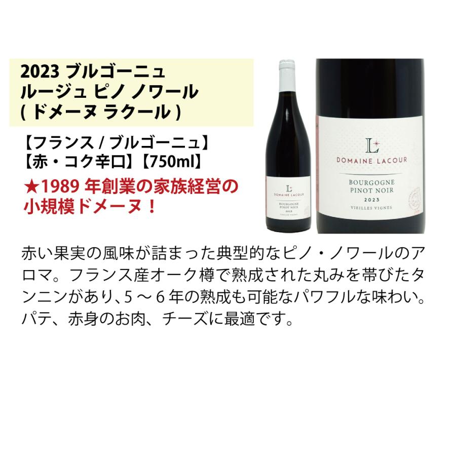 ワイン ワインセット はずれなし 極上ボルドー＋職人蔵ブルゴーニュ赤