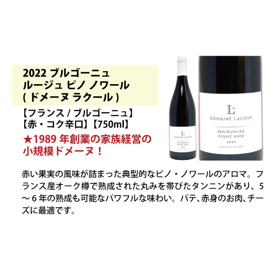 ワイン ワインセット はずれなし 極上ボルドー＋職人蔵ブルゴーニュ赤６本セット 送料無料 飲み比べセット ギフト 大人気 ^W0FBD0SE^