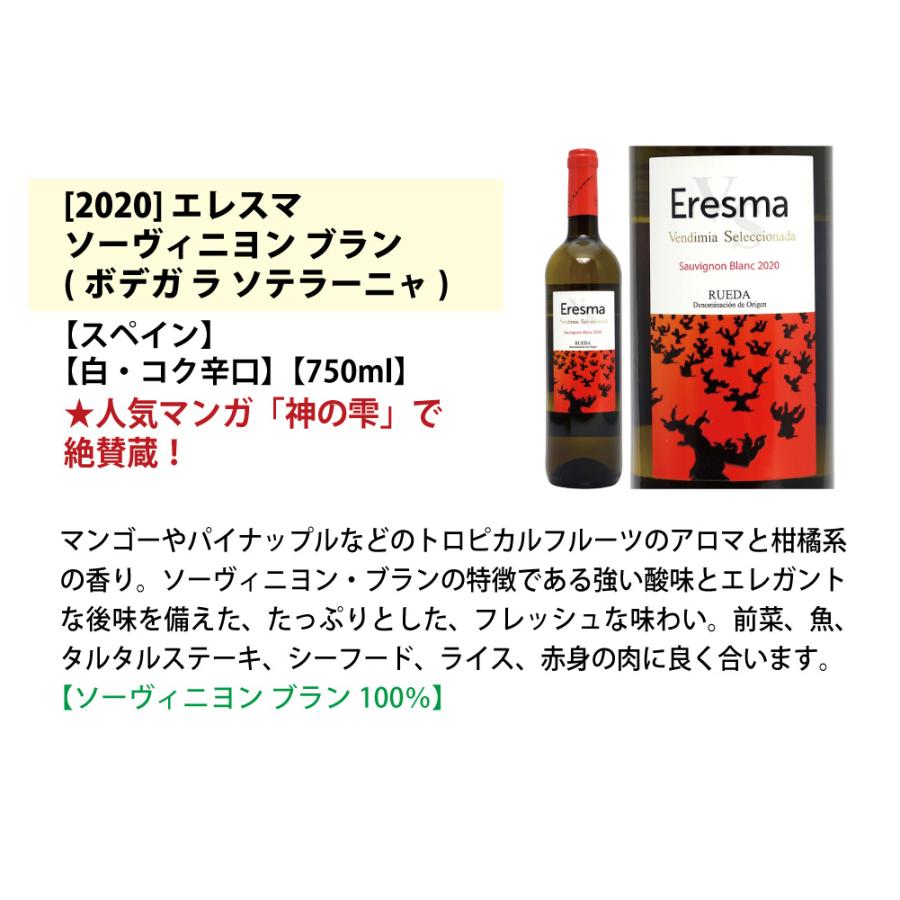 ワイン ワインセット 名産地 代表ぶどう品種 白６本セット 送料無料 飲み比べセット ギフト 大人気 ^W0S329SE^｜veritas｜06