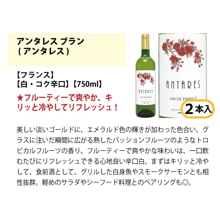 ワイン ワインセット ワイン誌高評価蔵や金賞蔵ワインも入った辛口白