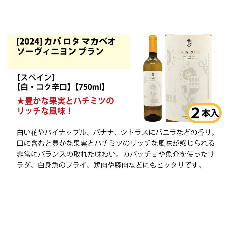 ワイン ワインセット ワイン誌高評価蔵や金賞蔵ワインも入った辛口白