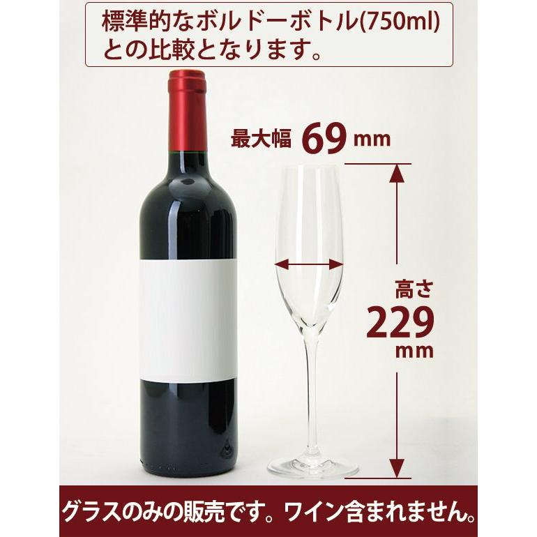 送料無料 07 6客セット 1客あたり814円 G＆C シャンパーニュ IV