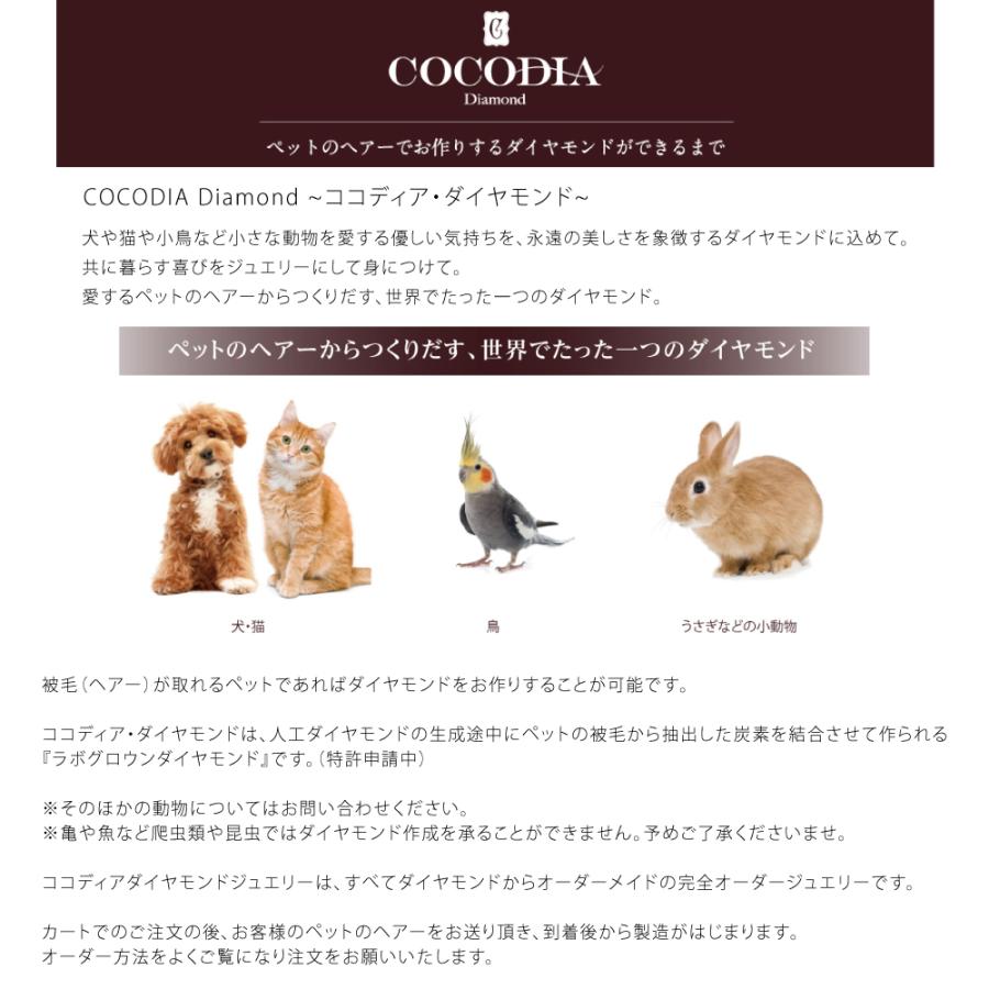 ココディア ダイヤモンドリング 0.2ct  刻印可能 名入れ 指輪 COCODIA ジュエリー 138408000004 【おそろい】