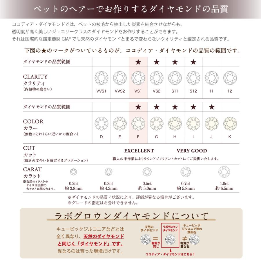 ココディア ダイヤモンドリング 0.2ct  刻印可能 名入れ 指輪 COCODIA ジュエリー 138408000004 【おそろい】