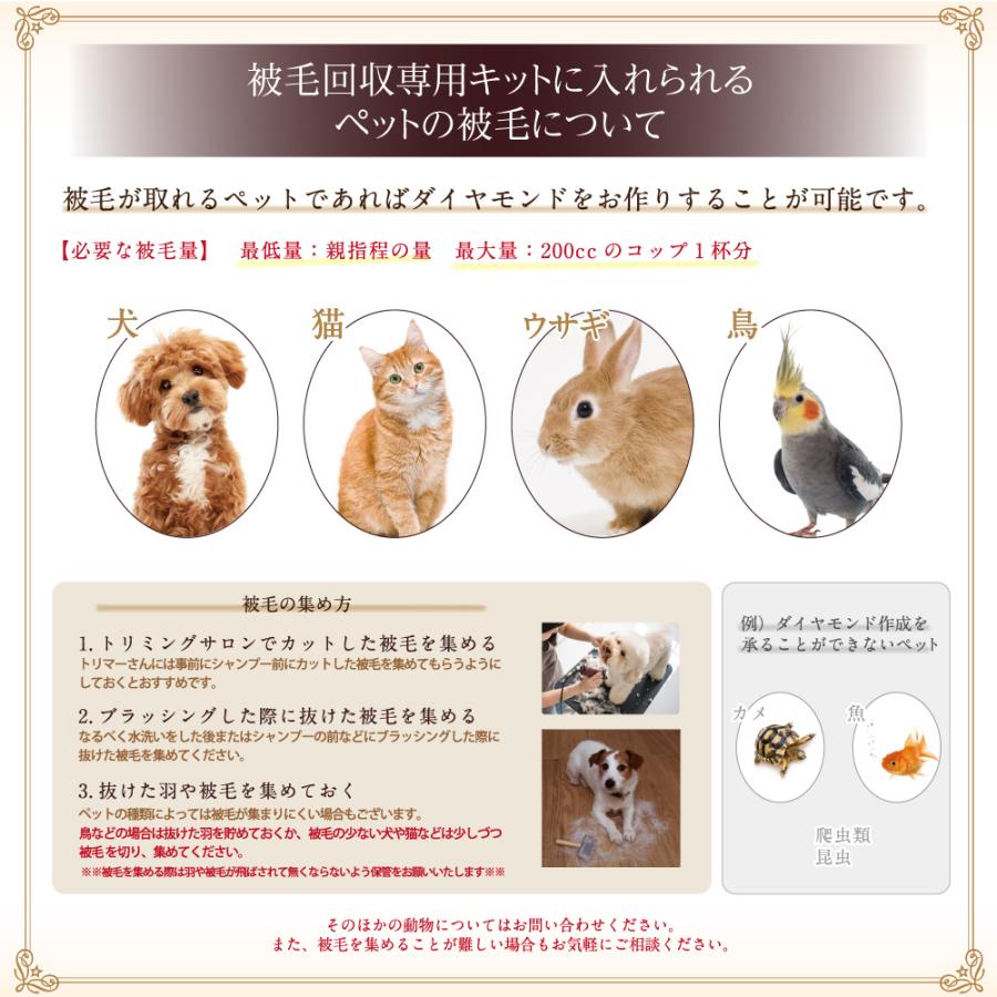 ココディア ダイヤモンドリング 0.2ct  刻印可能 名入れ 指輪 COCODIA ジュエリー 138408000004 【おそろい】