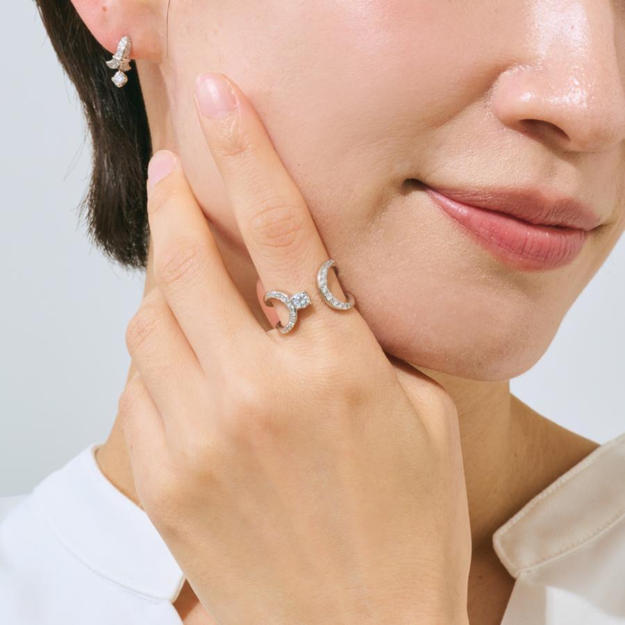 PT950 プラチナ Dカラー ダイヤモンド リング 指輪 アクセサリー 