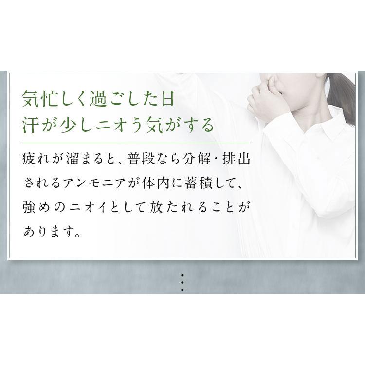 ヴァーナルボディソープモイスト＆ベーシックソープセット＆化粧品・美容液 ボディソープモイスト新発売！｜石鹸洗顔のヴァーナル＜公式サイト＞