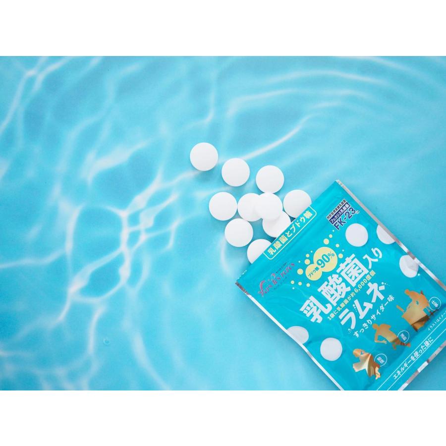 乳酸菌入りラムネ すっきりサイダー味 おなか物語 Onaka 004 Vers Les Reves 通販 Yahoo ショッピング