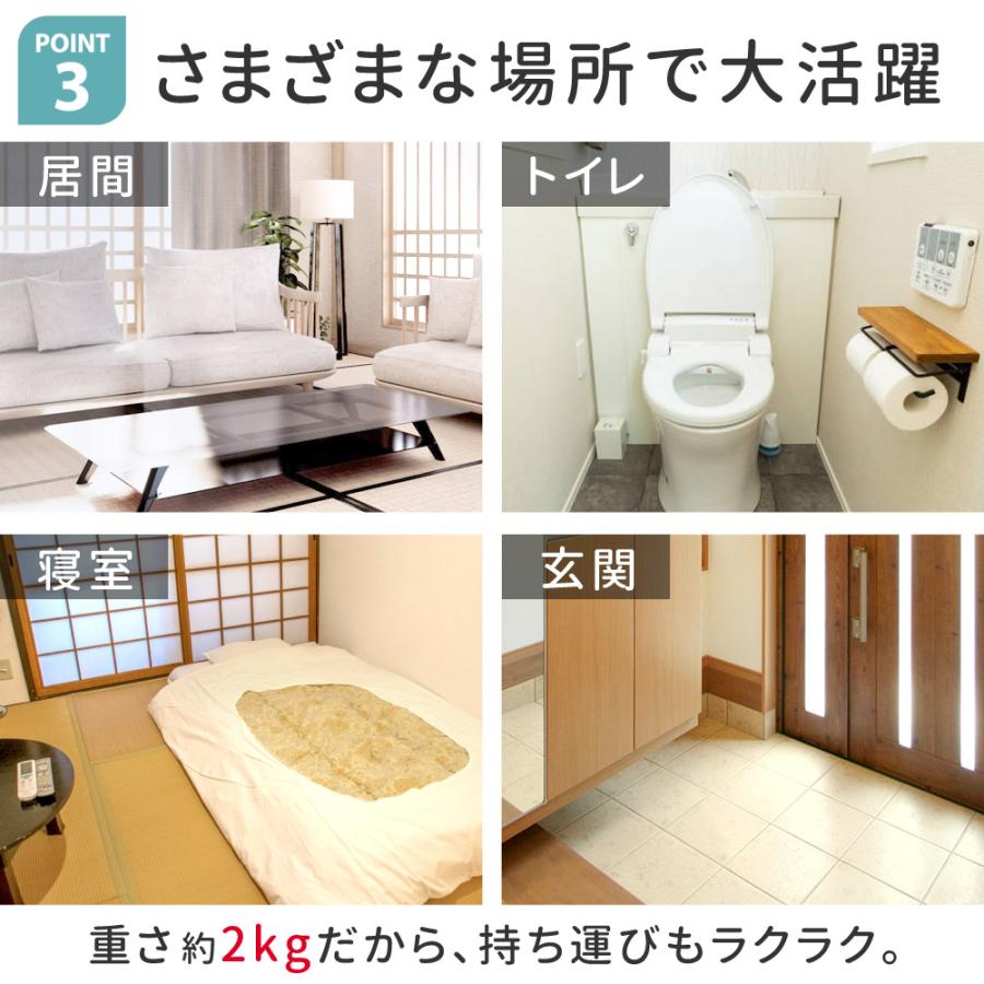 立ち上がり補助 立ち上がり補助器具 床から 介護 ベッド 2段 床 手すり 玄関 立ち上がり手すり 補助手すり 立ち上がりサポート | ブランド登録なし | 04