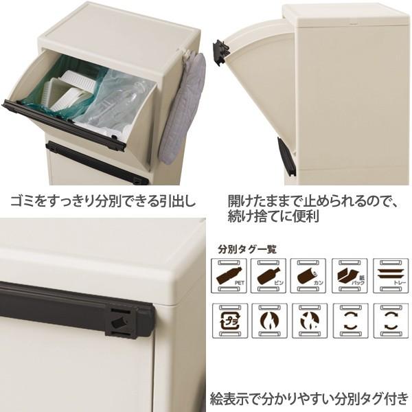ゴミ箱 分別 スリム 縦型 キッチン 2段 キャスター おしゃれ フタ付き 蓋付き 50L 分別ダストボックス 大容量 台所 天馬 イーラボ  EL-3522 | 天馬 | 01