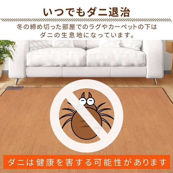 ホットカーペット 1.5畳 本体 木目調 フローリング調 125×180cm おしゃれ 節電 ダニ退治 折り畳み 温度調節 電気カーペット カーペット ホットマット 暖房 足元 | TEKNOS | 03