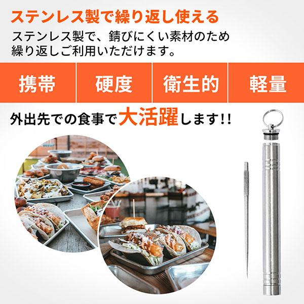 爪楊枝入れ 携帯用 つまようじ 爪楊枝 ケース付き つまようじ入れ ステンレス 爪楊枝ケース コンパクト つま楊枝 ピック コンパクト 小型 金属 外食 旅行 食後 | ブランド登録なし | 01