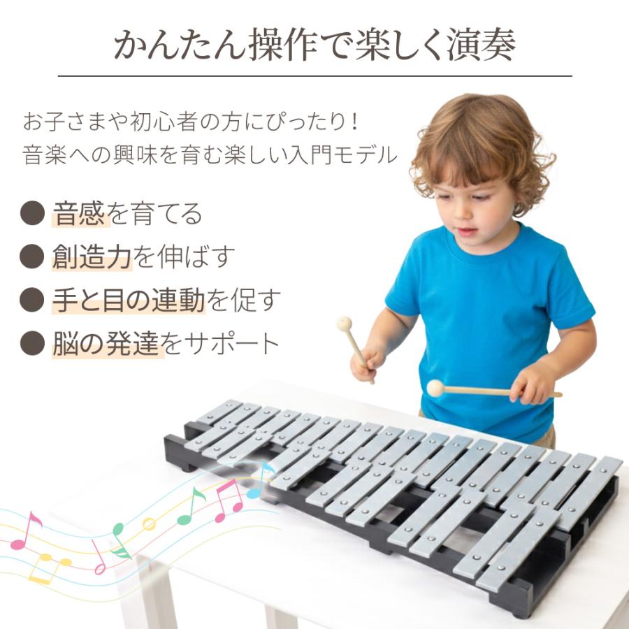鉄琴 楽器 子供 グロッケン 卓上鉄琴 30音 マレット 4本 収納ケース付