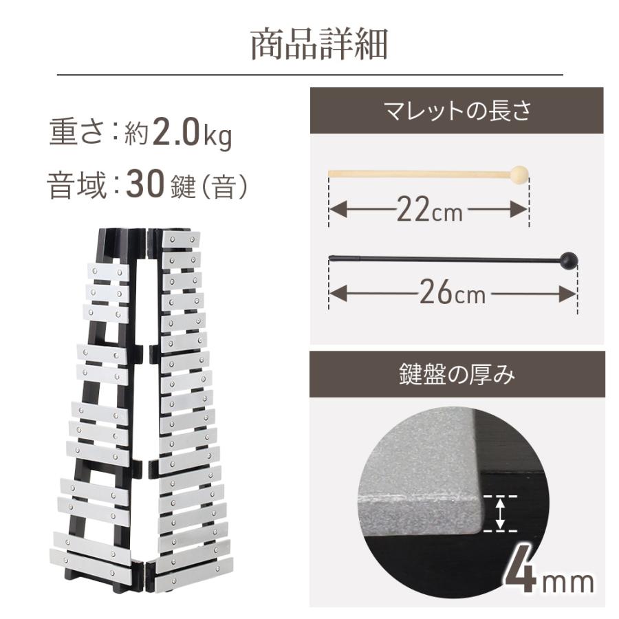 鉄琴 楽器 子供 グロッケン 卓上鉄琴 30音 マレット 4本 収納ケース付