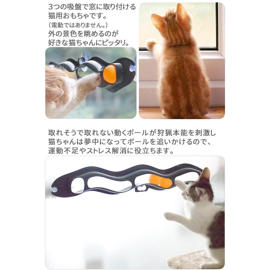 猫 おもちゃ ボール 運動不足 動く 一人遊び ねこ ダイエット ネコ