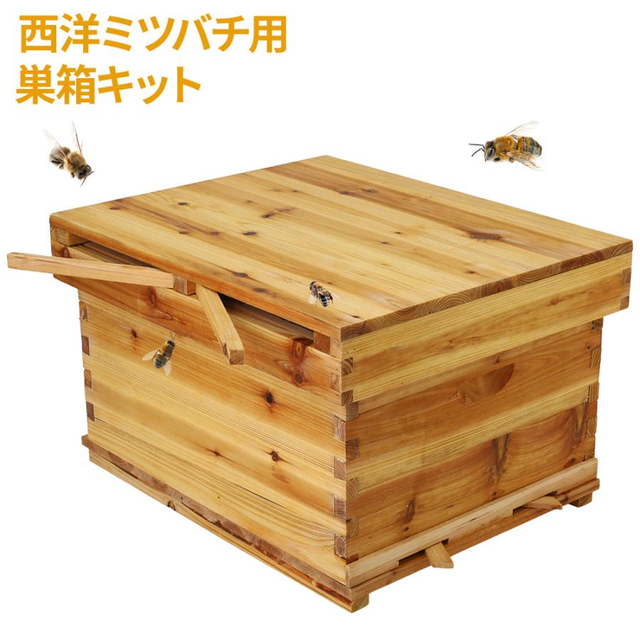ミツバチ 養蜂 器具 西洋 巣箱 ミツバチ箱 飼育 セット 道具 ミツバチ 養蜂 器具 西洋 巣箱 ミツバチ箱 飼育 セット 道具