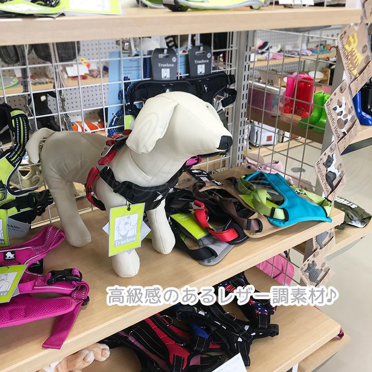 送料無料】ペットドール トルソードール モノトーン マネキン 犬