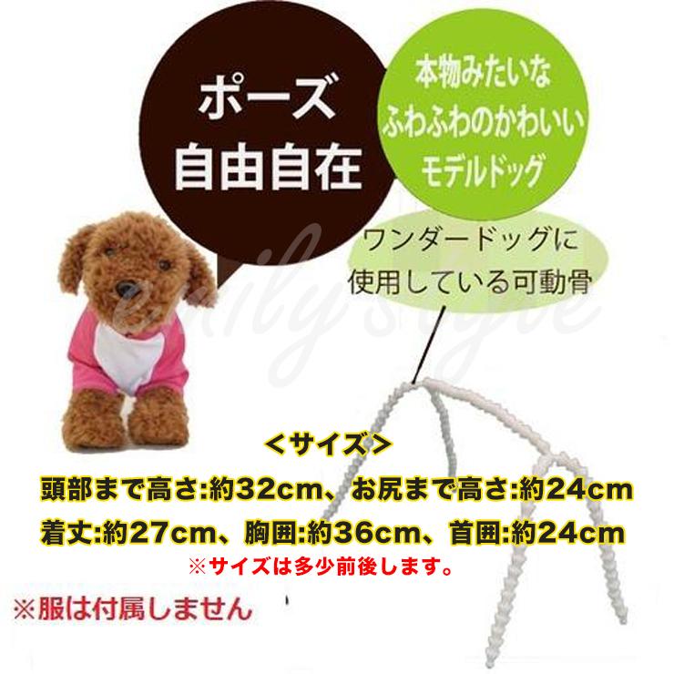 トイプードル ペットドール マネキン 犬 ドッグ モデル 撮影 ペット