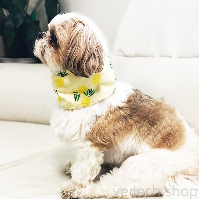 メール便は送料無料 保冷剤付 全5種類クールスヌード ひんやり クールネック 保冷剤バンダナ 熱中症対策 ネッククーラー 首元クール 犬 お散歩 Pw 094 Emilino 通販 Yahoo ショッピング