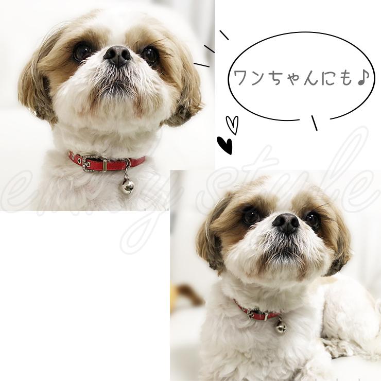 セール♪ 猫用首輪 鈴付き♪ ラインストーン 首輪 【T2】 【T3  