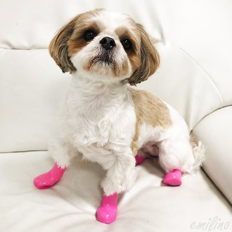 ペット用 シューズ ドッグシューズ レインブーツ ラバーシューズ ファクトリーアウトレット 4足セット ペット Emilystyle 犬 防水 ネコ お散歩 おでかけ 保護