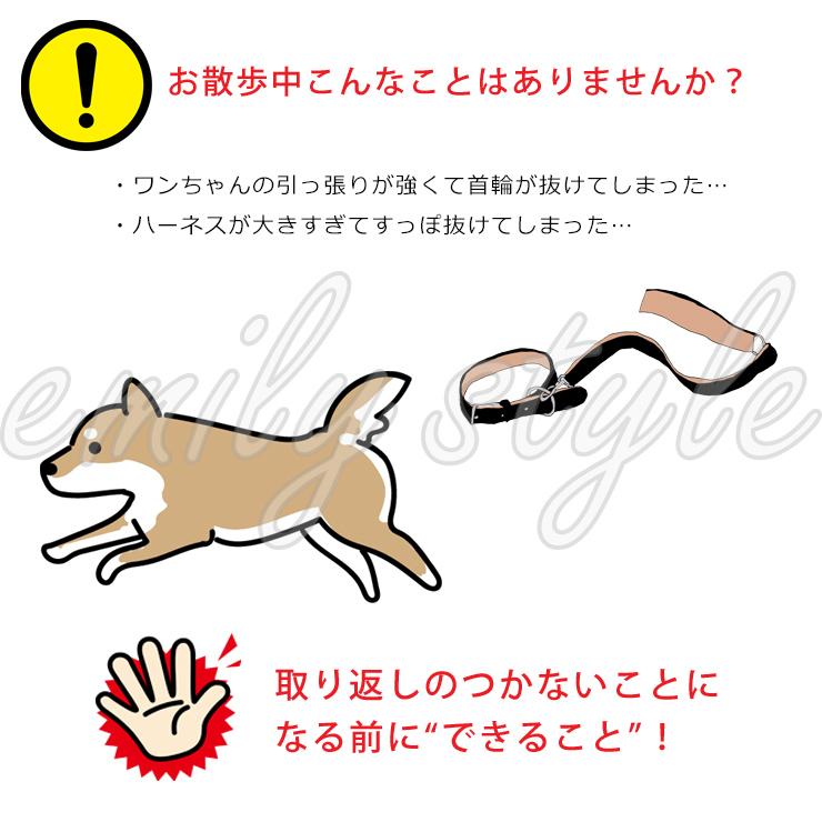 首輪とハーネスをつなぐジョイントリード】ジョイント フック すっぽ