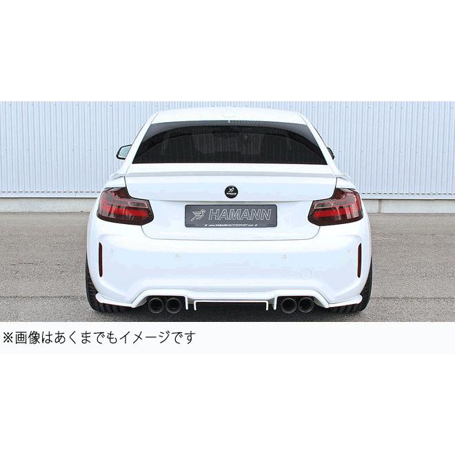 HAMANN ハーマン BMW 2シリーズ F87 リアウイングレット Rear Winglets | 