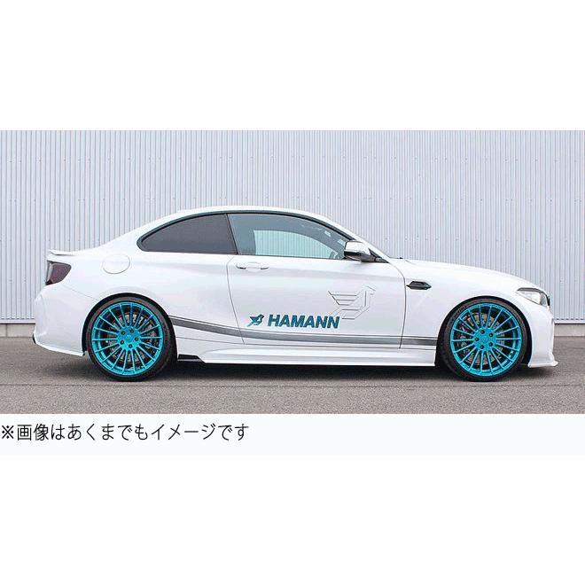 HAMANN ハーマン BMW 2シリーズ F87 リアウイングレット Rear Winglets |  | 01