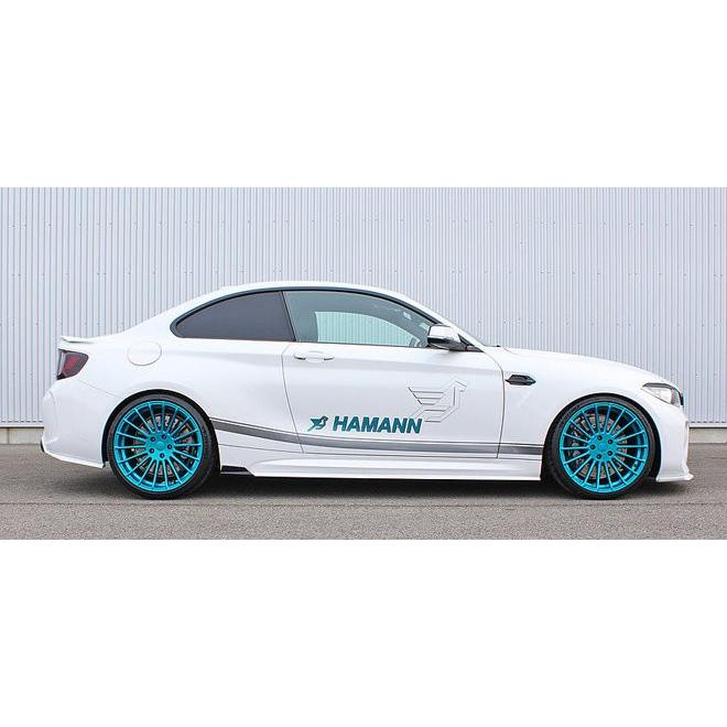 HAMANN ハーマン BMW 2シリーズ F87 サイドウイングレット カーボン Carbon |  | 01