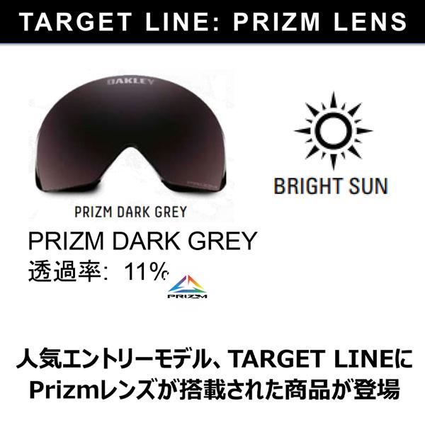 スキー スノーボード ゴーグル 23-24 OAKLEY オークリー TARGET LINE L ターゲットラインエル MATTE WHITE PRIZM DARK GREY 23-24-GG-OAK｜vertex73｜07