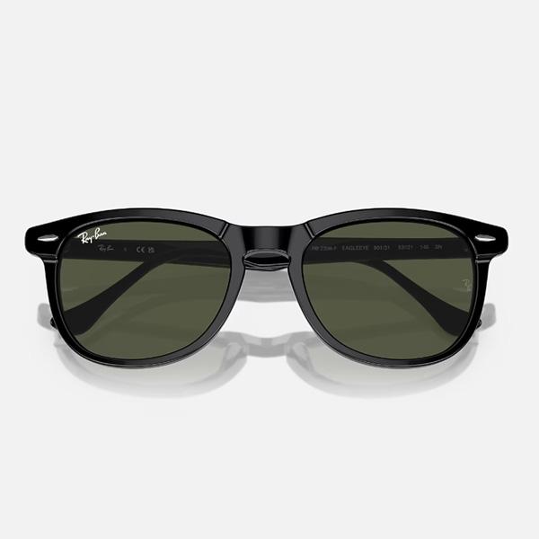 Ray-Ban レイバン サングラス RayBan EAGLEEYE フレーム/BLACK