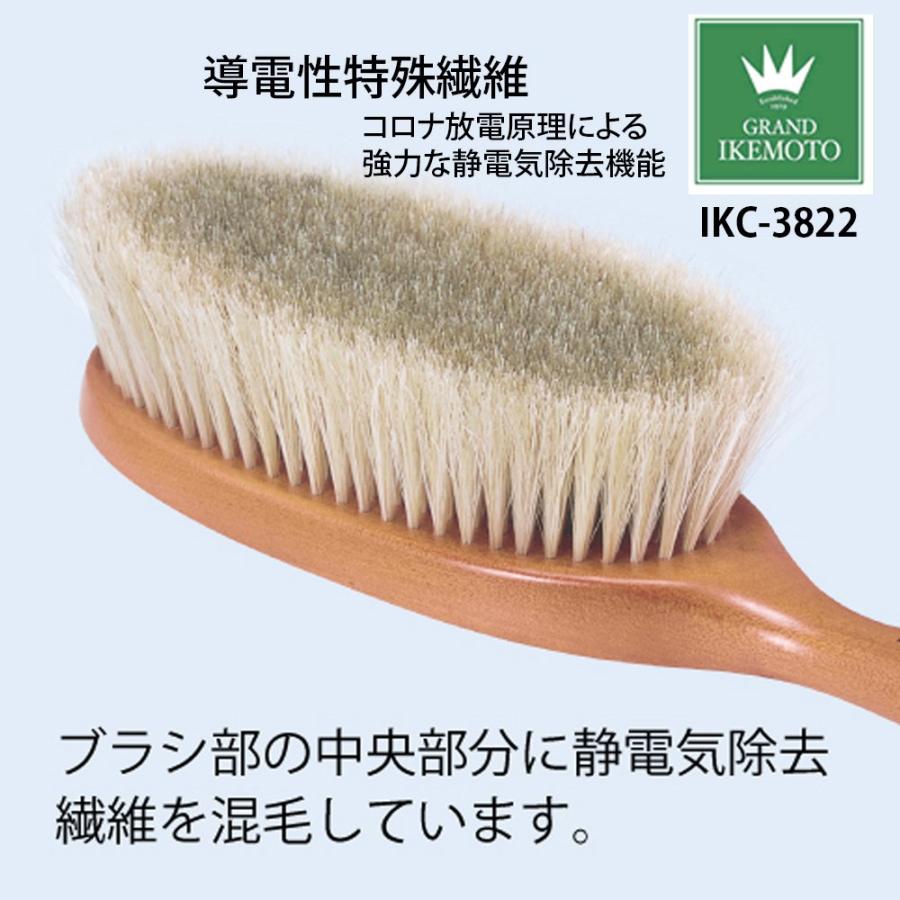 池本刷子工業 GRAND IKEMOTO IKC3822 洋服ブラシ 静電気除去 池本刷子工業 GRAND IKEMOTO IKC3822 洋服ブラシ 静電気除去