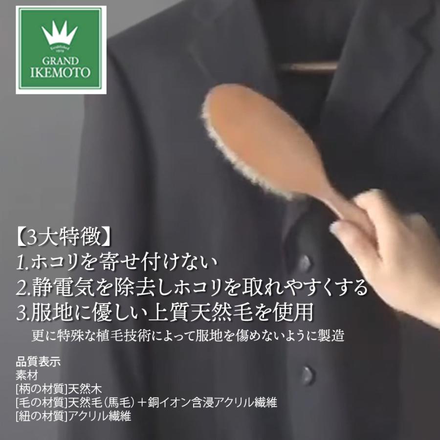 池本刷子工業 GRAND IKEMOTO IKC3222 洋服ブラシ 静電気除去 池本刷子工業 GRAND IKEMOTO IKC3222 洋服ブラシ 静電気除去