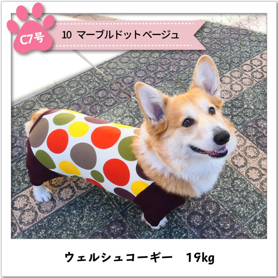 犬 服 春夏 コーギー カバーオール Very 21春夏 犬 ロンパース つなぎ おしゃれ コーギー 服 21co02cg Very Pet ヤフーショップ 通販 Yahoo ショッピング