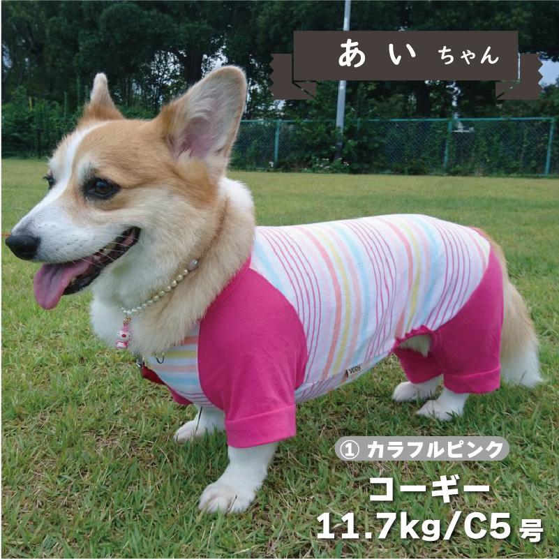 犬服 VERY Web限定ボーダーカバーオール 春夏 秋冬 中型犬 コーギー おしゃれ 安い 可愛い お揃い ペットウェア ペット服 ロンパース つなぎ ボーダー｜very-pet｜06