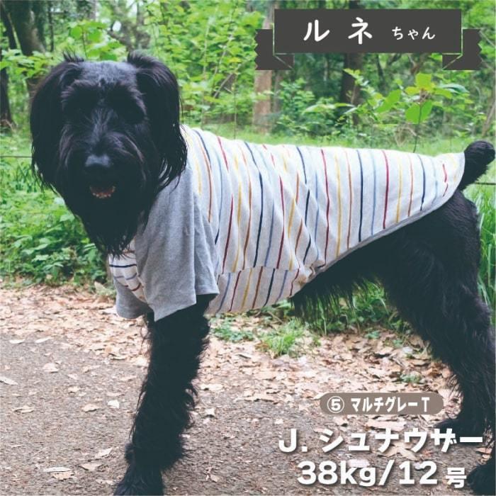 犬服 VERY Web限定ボーダーTシャツ 1 春夏 秋冬 大型犬 おしゃれ 安い 可愛い お揃い ペットウェア ペット服 Tシャツ ボーダー｜very-pet｜06