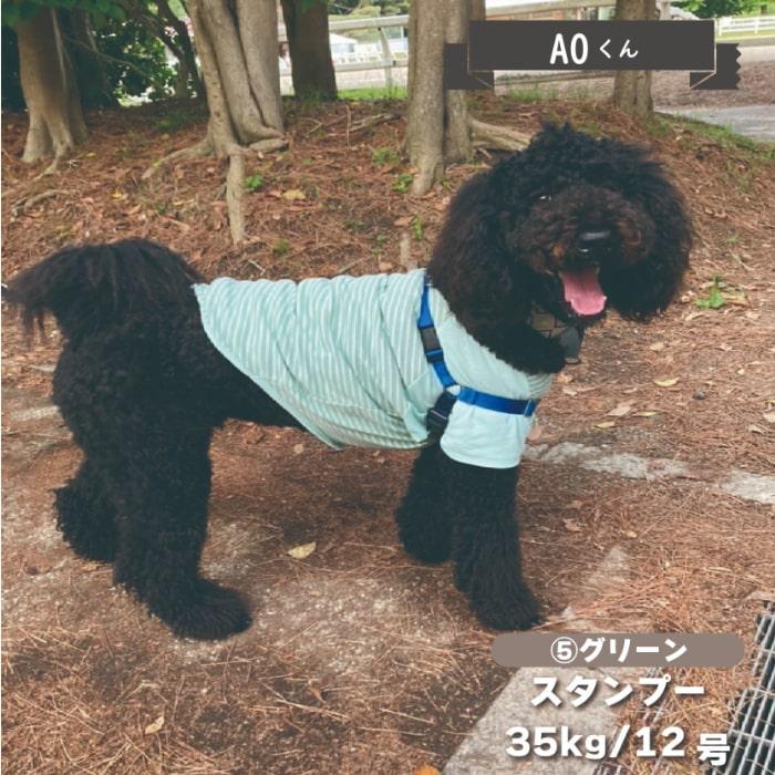 犬服 VERY Web限定ボーダーTシャツ 1 春夏 秋冬 大型犬 おしゃれ 安い 可愛い お揃い ペットウェア ペット服 Tシャツ ボーダー｜very-pet｜09